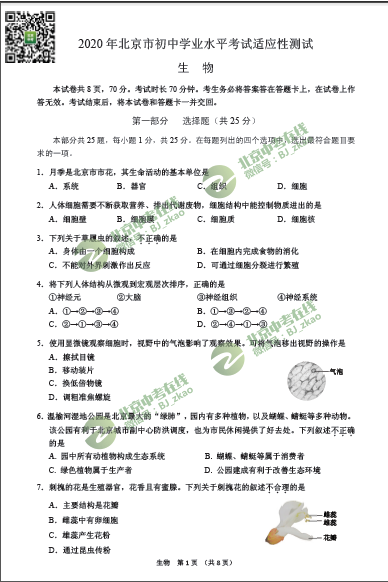 2020北京初二生物适应性考试试卷